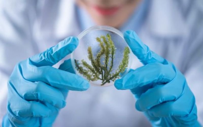 The ultimate science behind biochem nutrition 5 the ultimate science behind biochem