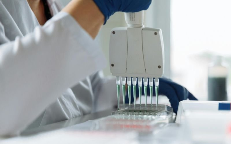 PCR herpes test – The diagnostic tool for herpes infections 1 PCR herpes test